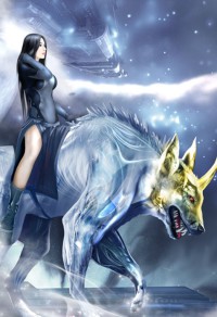 阳谋高手